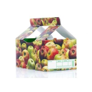 Fruit packaging (Hand Erect)