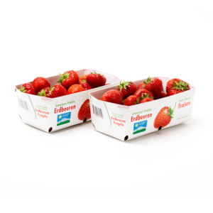 Fruit Punnets