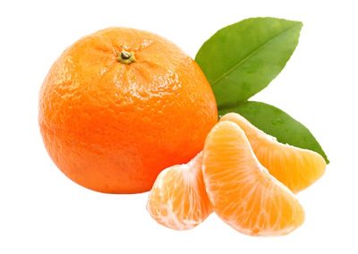 Australian Citrus Suppliers