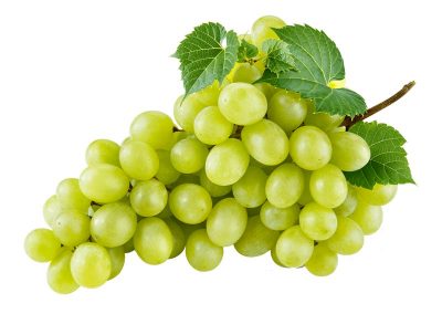 Australian Grape Suppliers