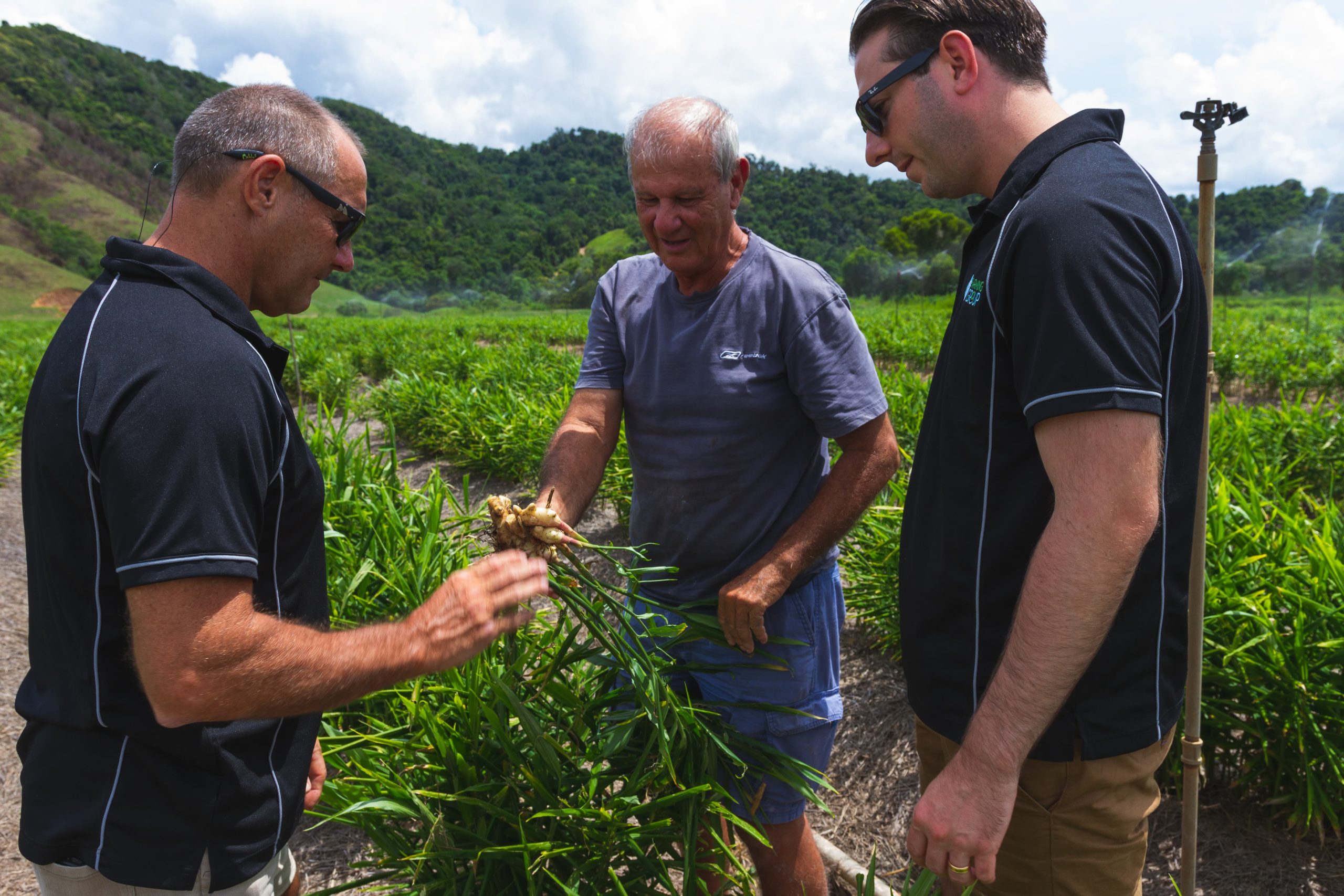 Brett & Lindsay inspecting Ginger crop-min